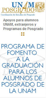 Beca para Estudios de Posgrado de la UNAM