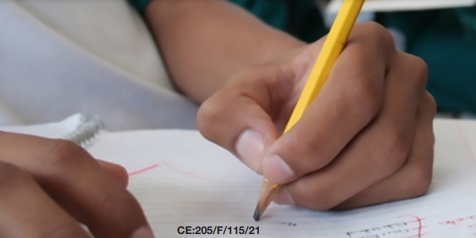Becas SEIEM